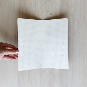 JOURNAL DE VIAJE