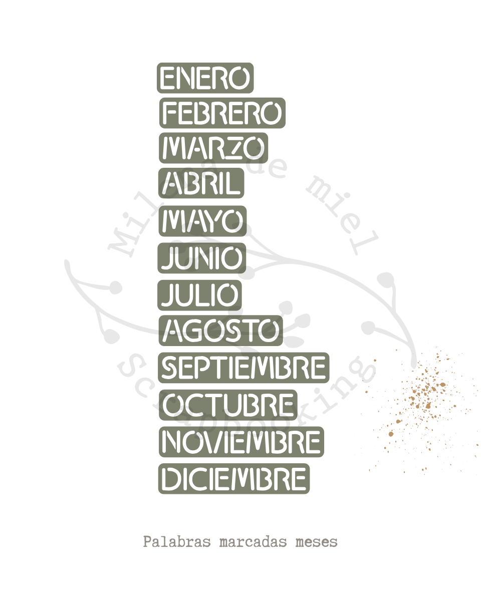 TROQUEL MESES MARCADOS